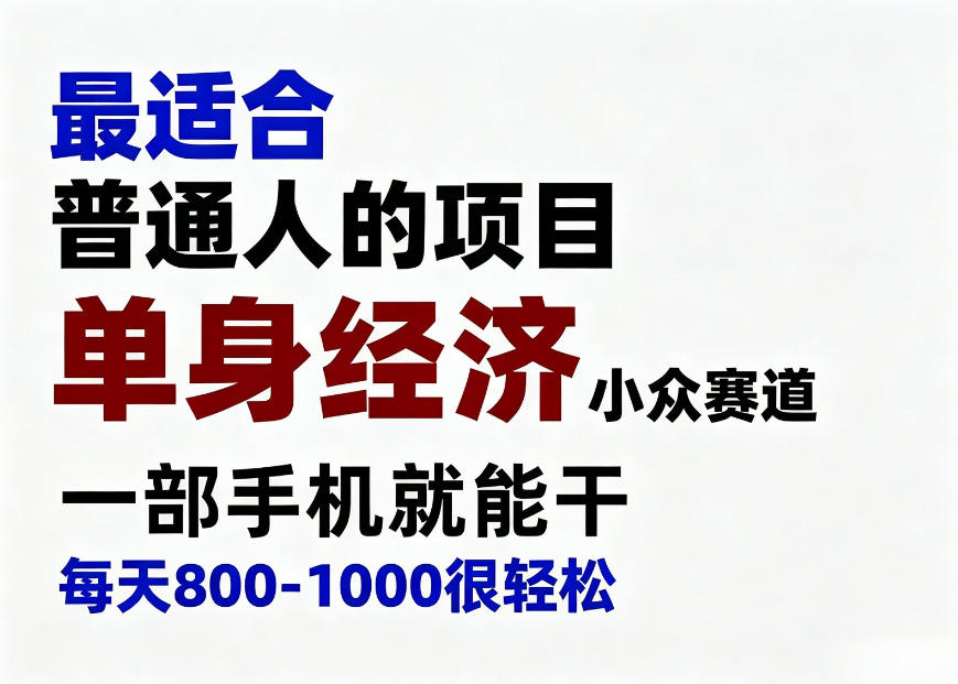 身经济小众赛道,一部手机就能干,每天搞个800-1000很轻松,最适合普通人的项目【揭秘】-龙大资源