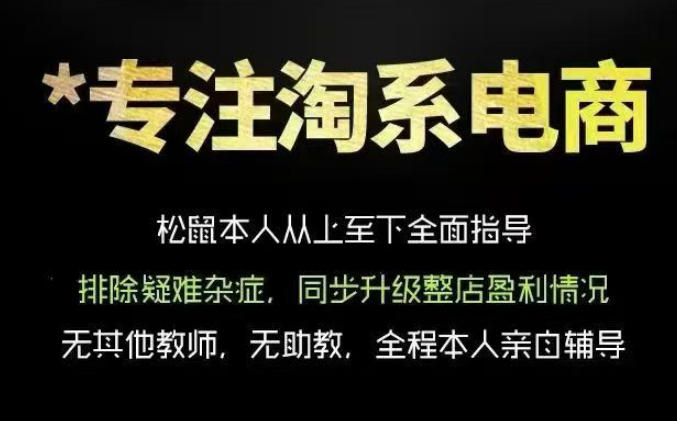 松鼠会电商VIP课程,从基础布局到高阶优化,助你掌握淘宝运营逻辑,提升店铺流量与转化(更新0910)-龙大资源