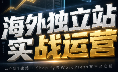 海外独立站实战运营-龙大资源