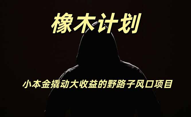 橡木计划,小投入撬动高回报的风口野路子项目,一天投入2小时左右-龙大资源