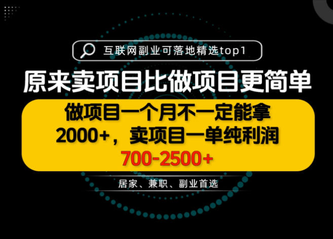 一单利润700-2.5K+，为什么我们要卖项目而不是做项目，我们普通人应该怎样开始？【揭秘】-龙大资源