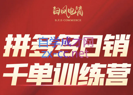 白凤电商·拼多多日销千单训练营(更新9月)-龙大资源